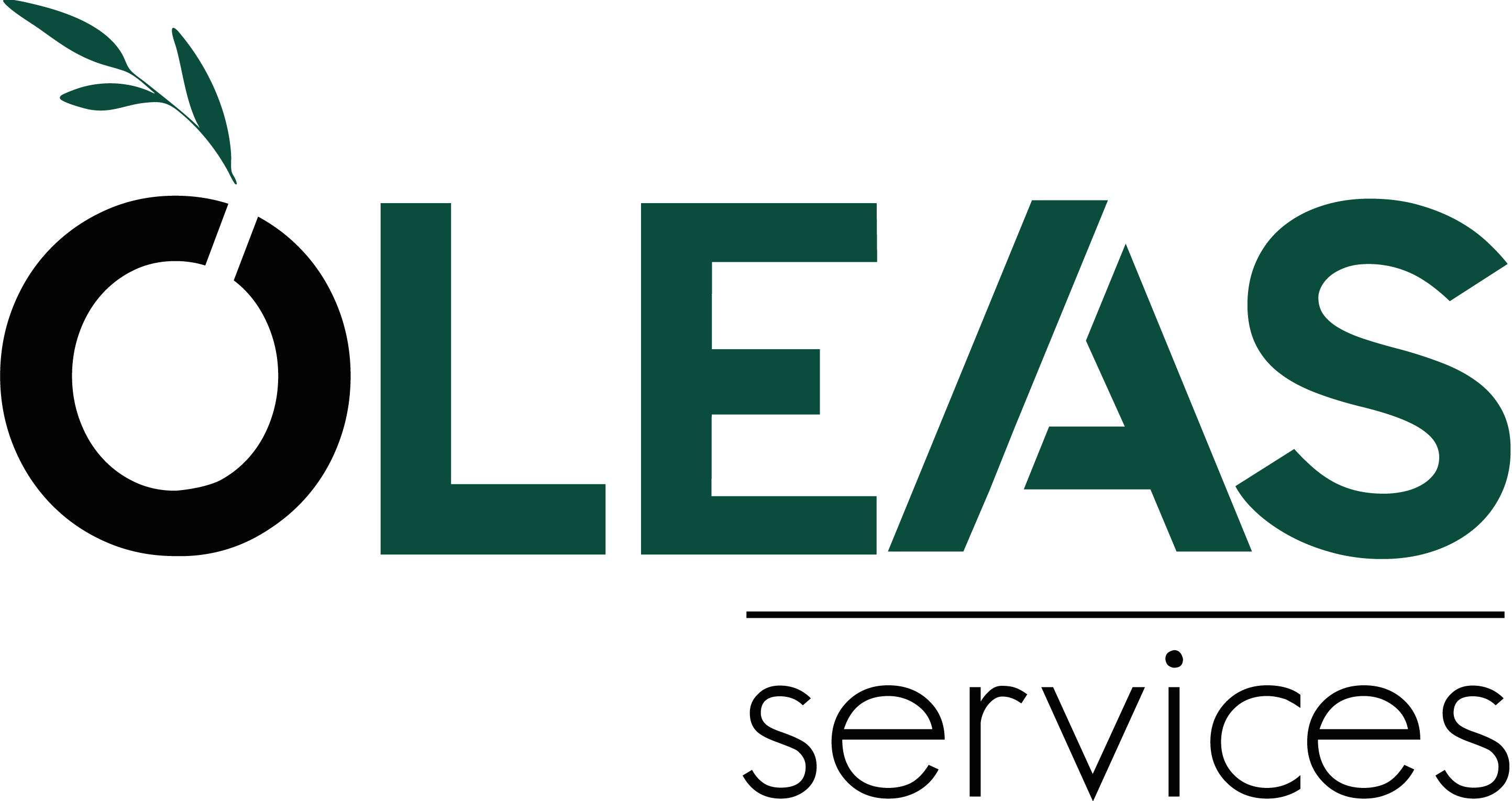 Oleas Services